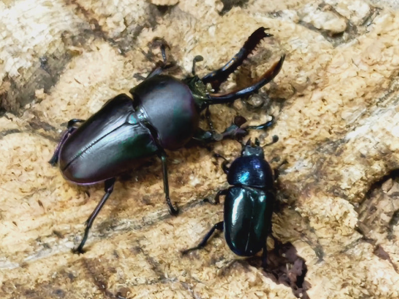 2023.10.10.新入荷!!