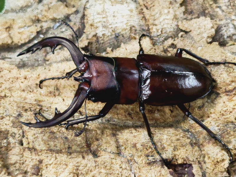 2023.10.16.新入荷!!