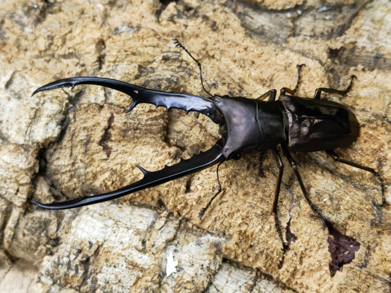 2023.10.19.新入荷!!