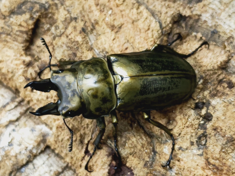 2023.10.20.新入荷!!