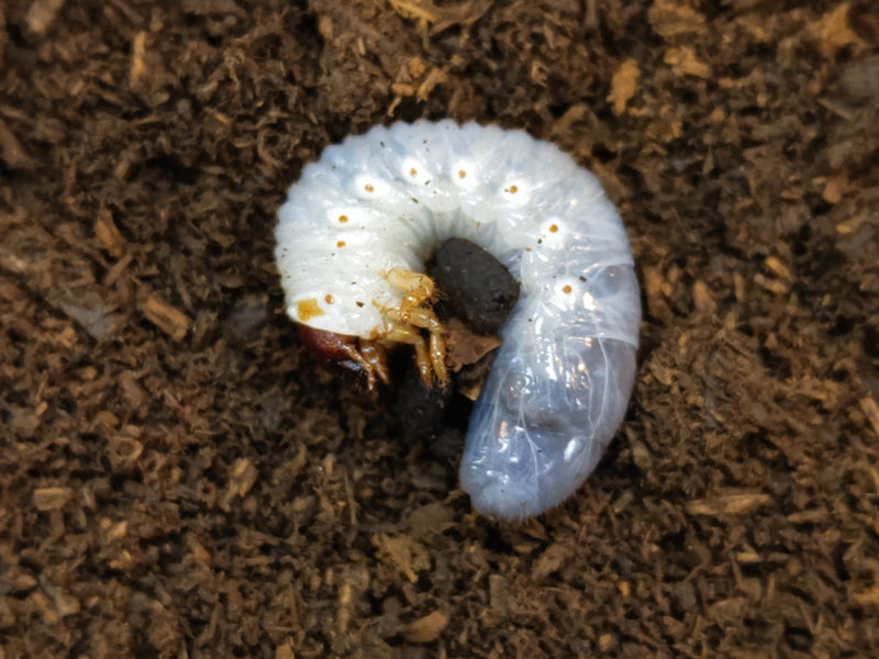 2023.10.22.新入荷!!