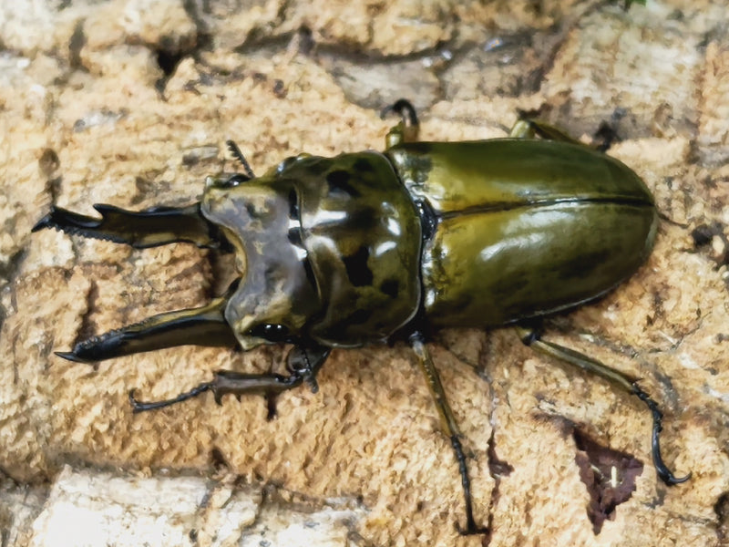 2023.10.23.新入荷!!