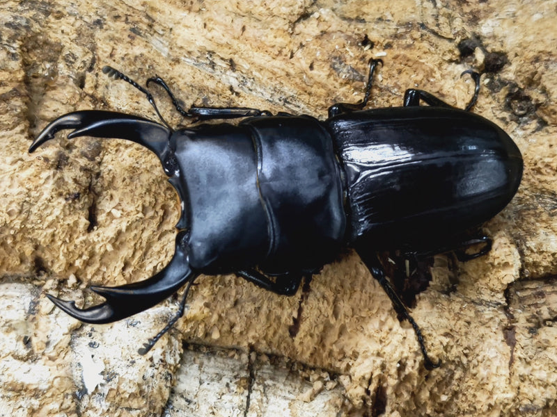 2023.10.24.新入荷!!