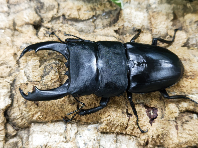 2023.10.26.新入荷!!