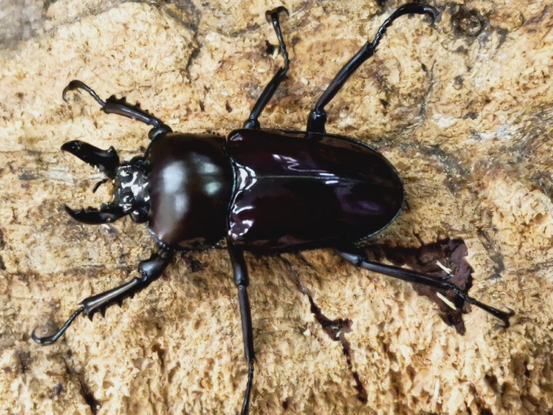 2023.10.27.新入荷!!