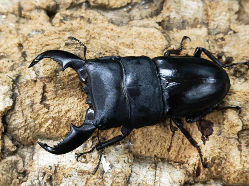 2023.10.28.新入荷!!