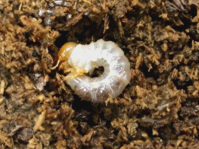 2023.10.30.新入荷!!