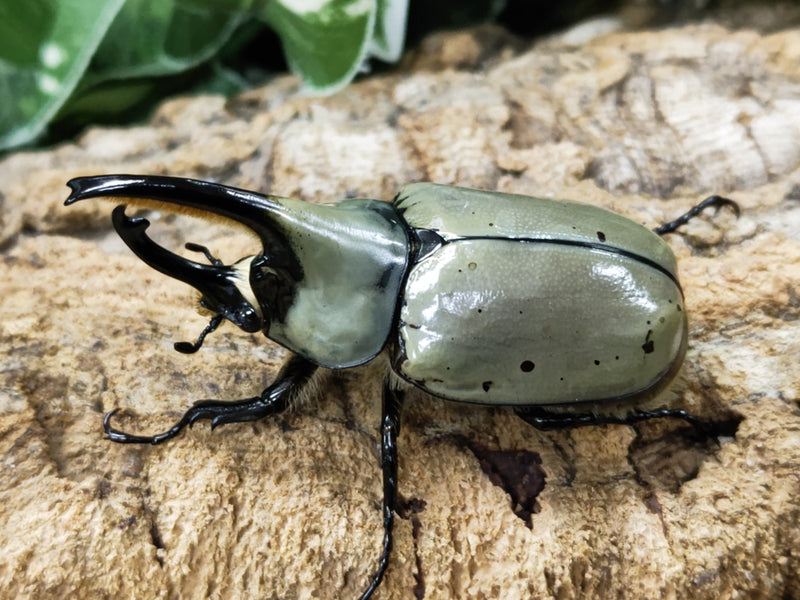 2023.11.2.新入荷!!