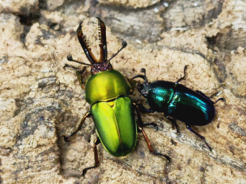 2023.11.3. 新入荷!!