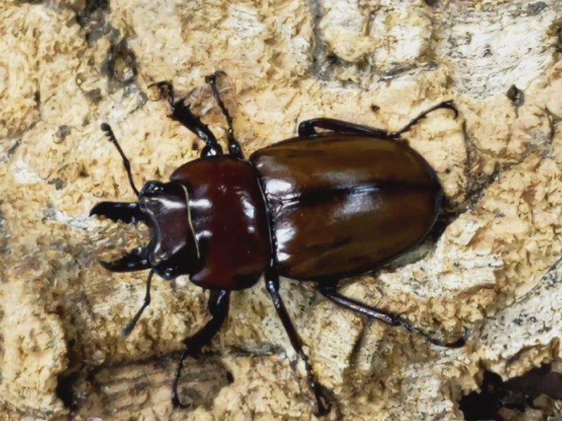 2023.11.6.新入荷!!