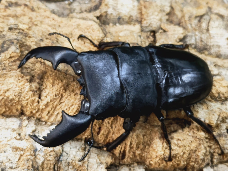 2023.11.10.新入荷!!