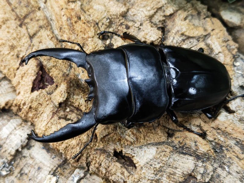 2023.11.18.新入荷!!