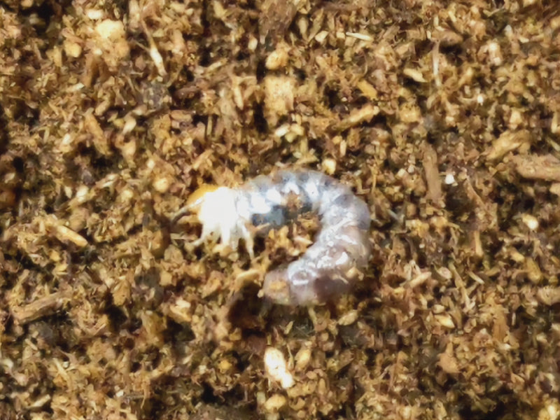 2023.11.19.新入荷!!