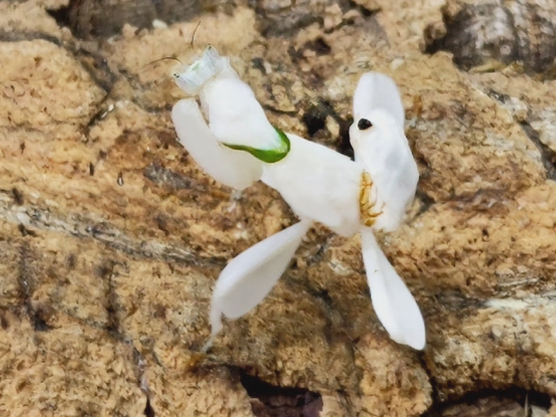 2023.11.20.新入荷!!