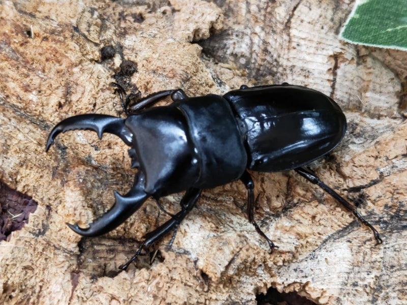 2023.11.23.新入荷!!