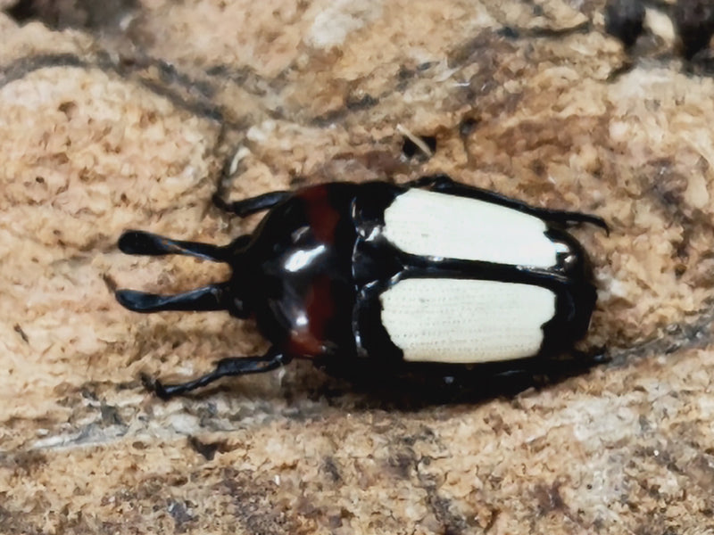 2023.11.24.新入荷!!