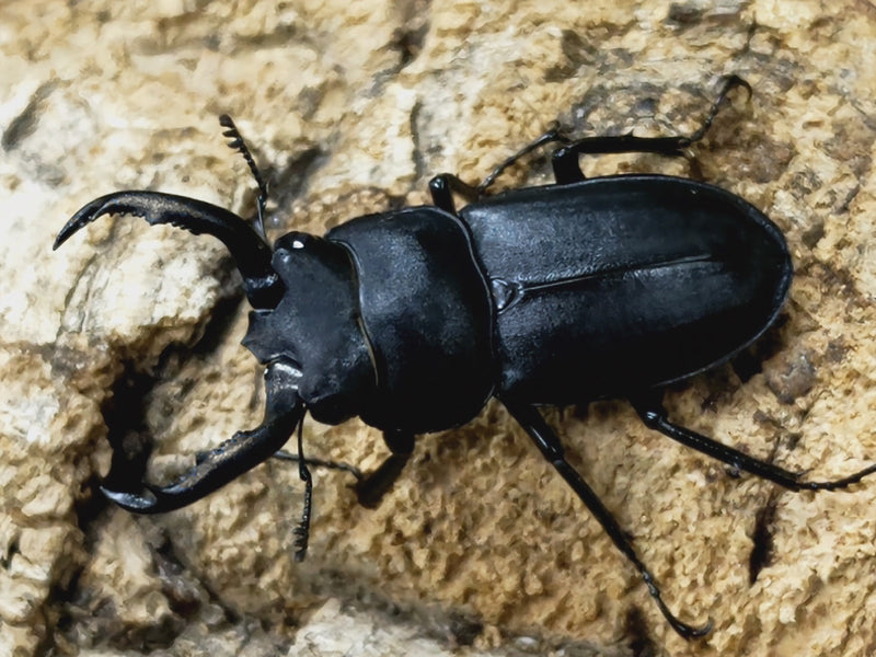 2023.11.25.新入荷!!