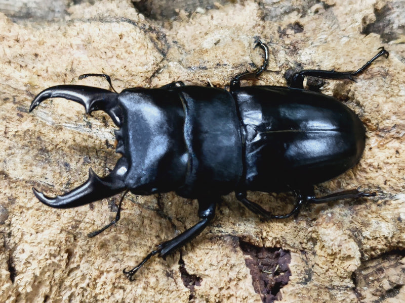 2023.11.26.新入荷!!