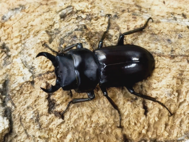 2023.11.28.新入荷!!