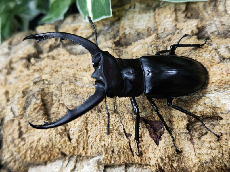 2023.11.30.新入荷!!