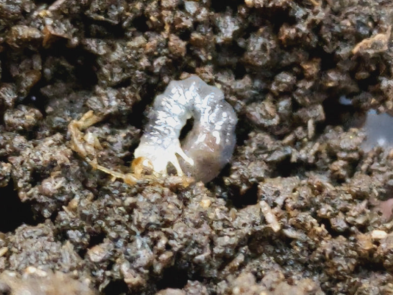 2023.12.1.新入荷!!