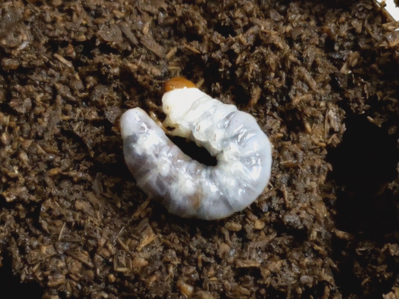 2023.12.2.新入荷!!