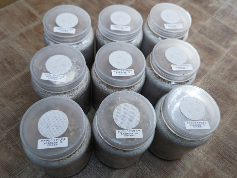 2023.12.3.新入荷!!