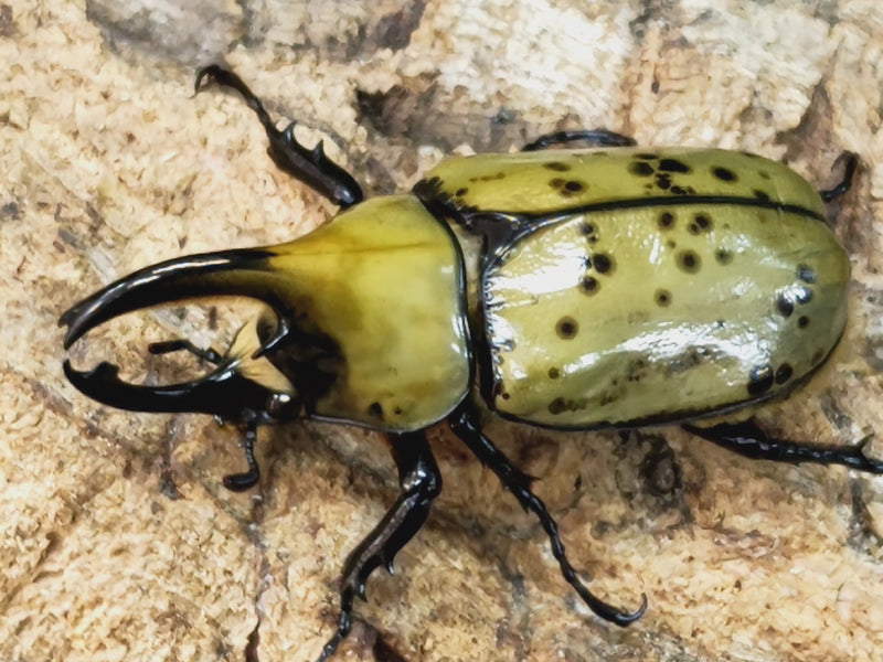 2023.12.4.新入荷!!