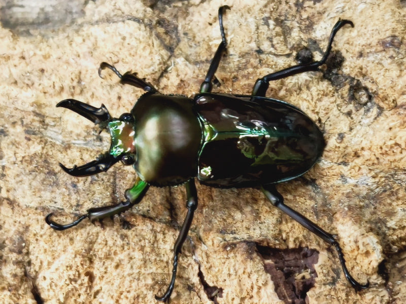 2023.12.9.新入荷!!