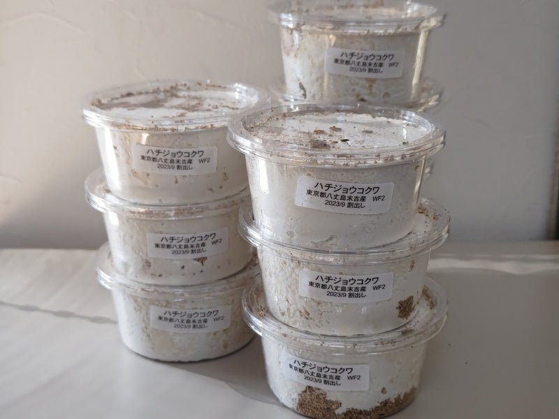 2023.12.12.新入荷!!