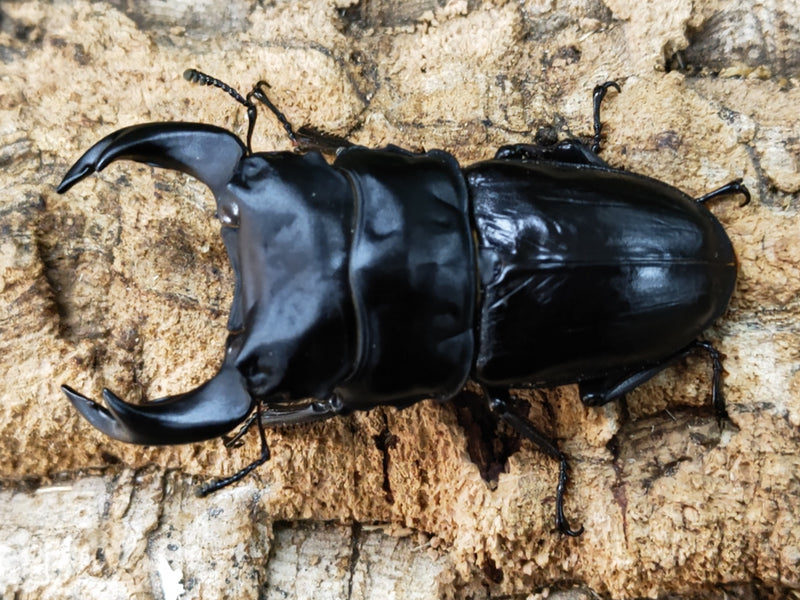 2023.12.16.新入荷!!