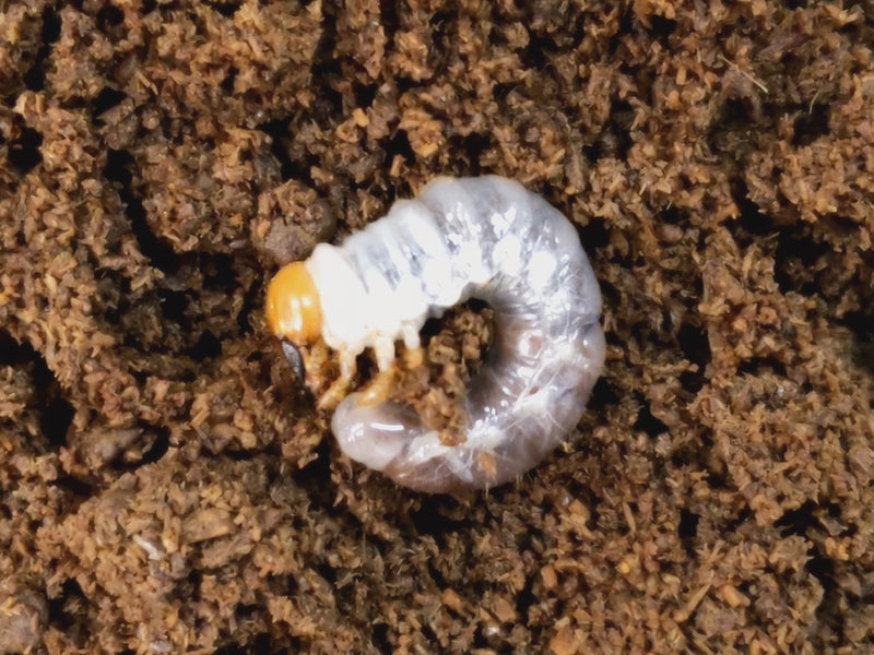 2023.12.23.新入荷!!