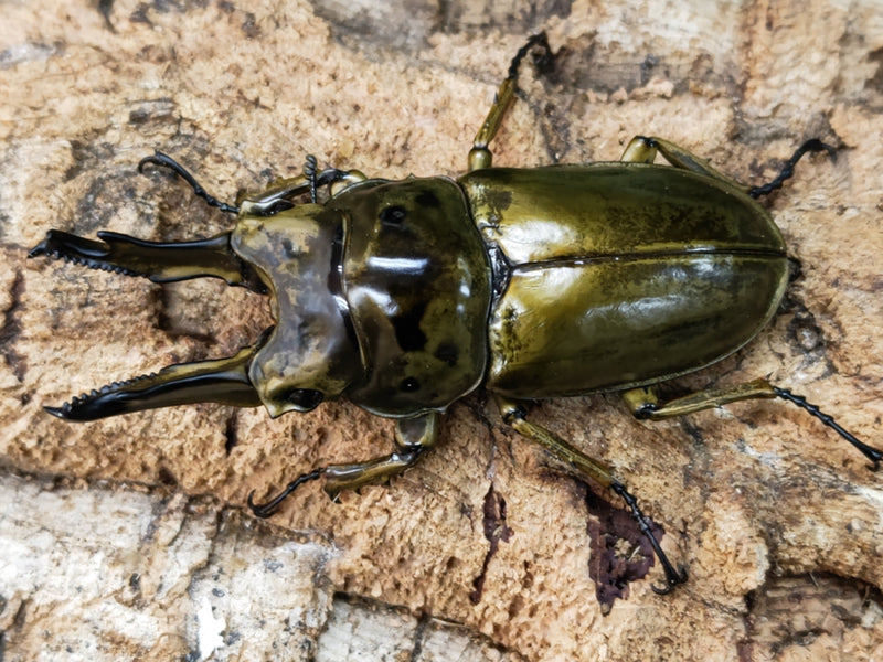 2023.12.26.新入荷!!