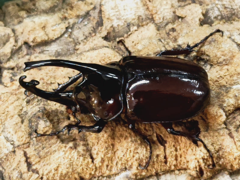 2023.12.28.新入荷!!