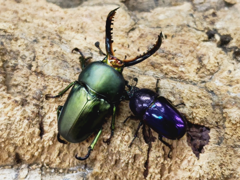 2024.1.4.新入荷!!