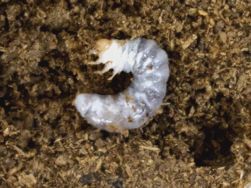 2024.1.5.新入荷!!