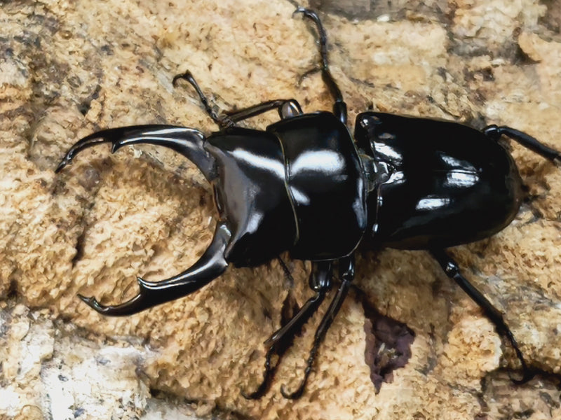 2014.1.7.新入荷!!