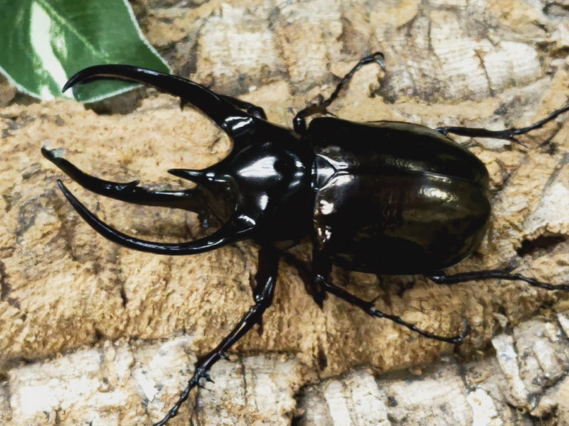 2024.1.8.新入荷!!