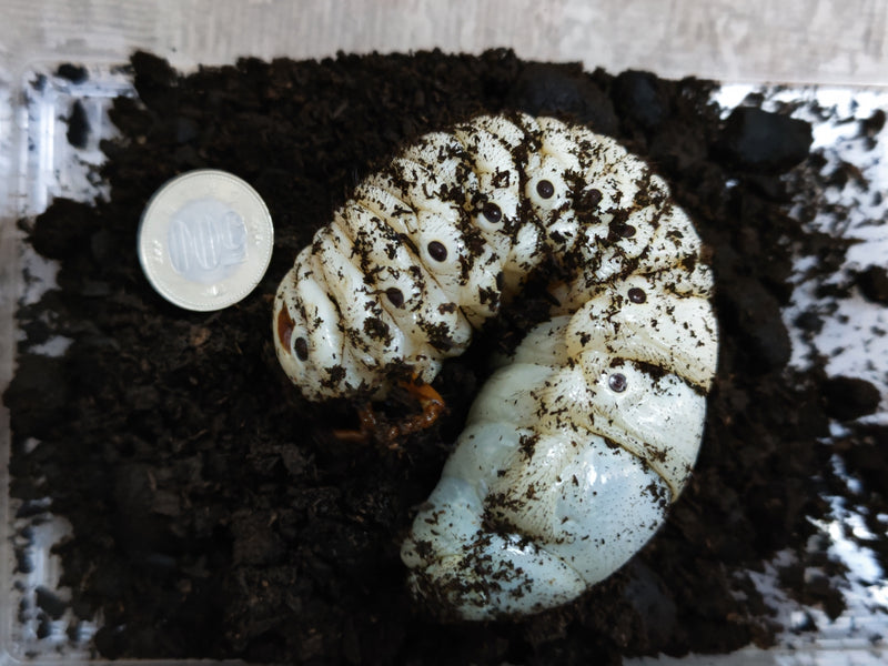 2024.1.9.新入荷!!