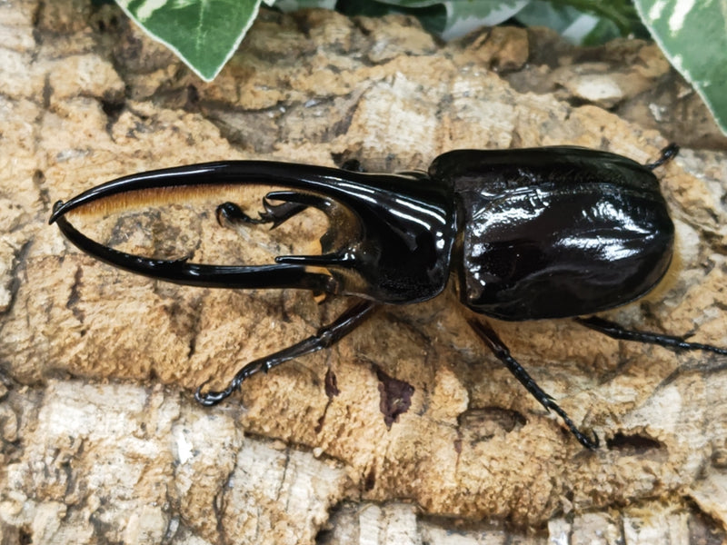 2024.1.11.新入荷!!