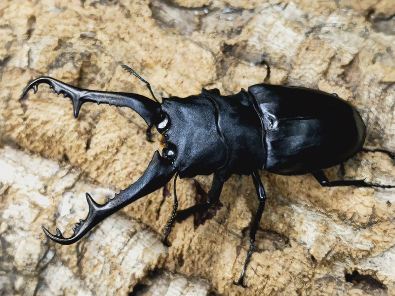 2024.1.12.新入荷!!