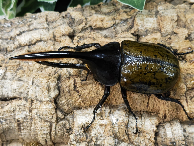 2024.1.13.新入荷!!