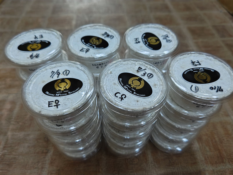 2024.7.15.新入荷!!