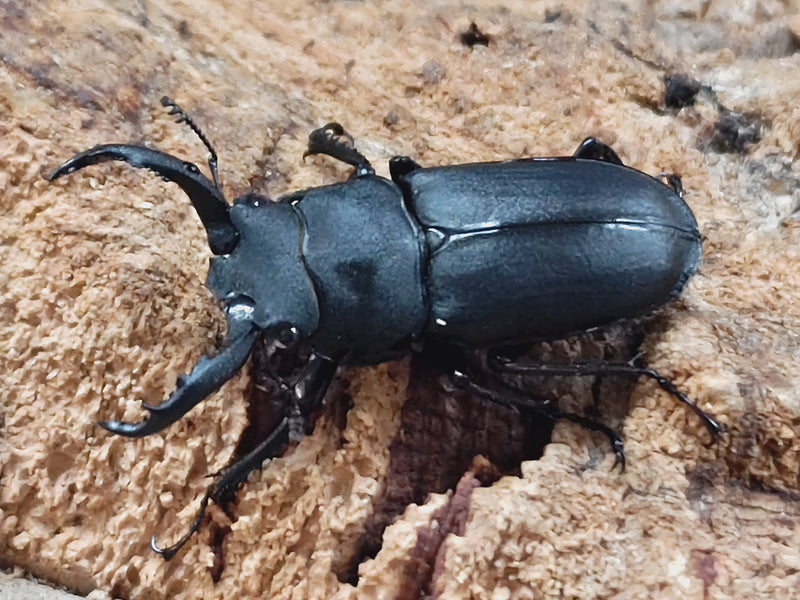 2025.10.16.新入荷!!