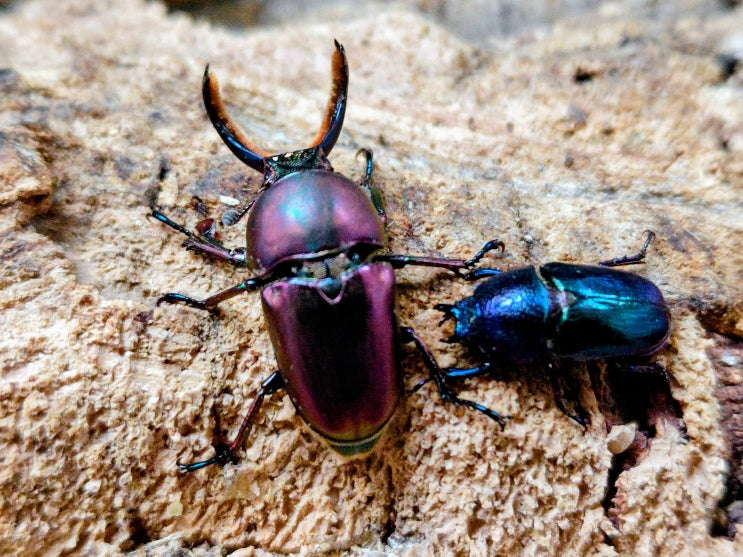 2025.11.7.新入荷!!