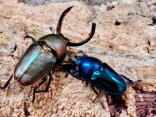 2025.12.2.新入荷!!