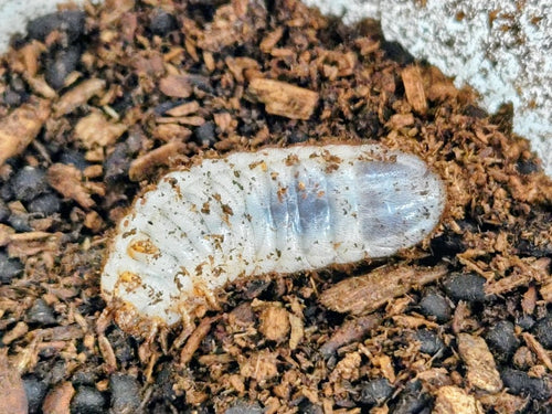 2025.12.6.新入荷!!