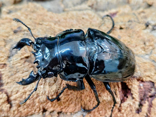 2025.12.7.新入荷!!