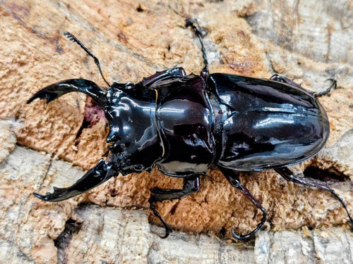 2025.12.23.新入荷!!