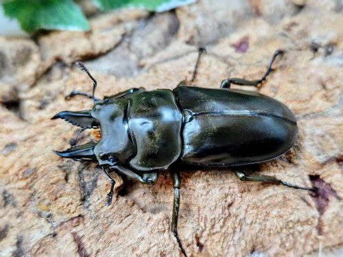 2025.12.27.新入荷!!